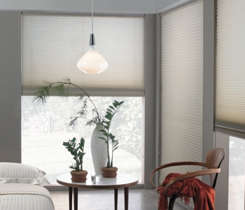 cellular shades in Boise space